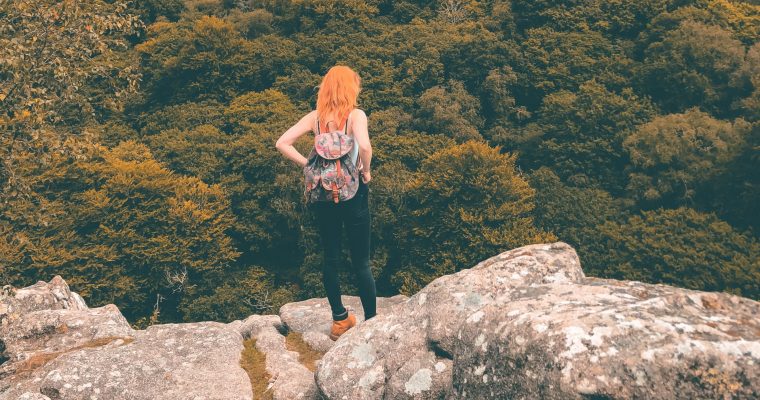 Dartmoor – Dewerstone Rocks