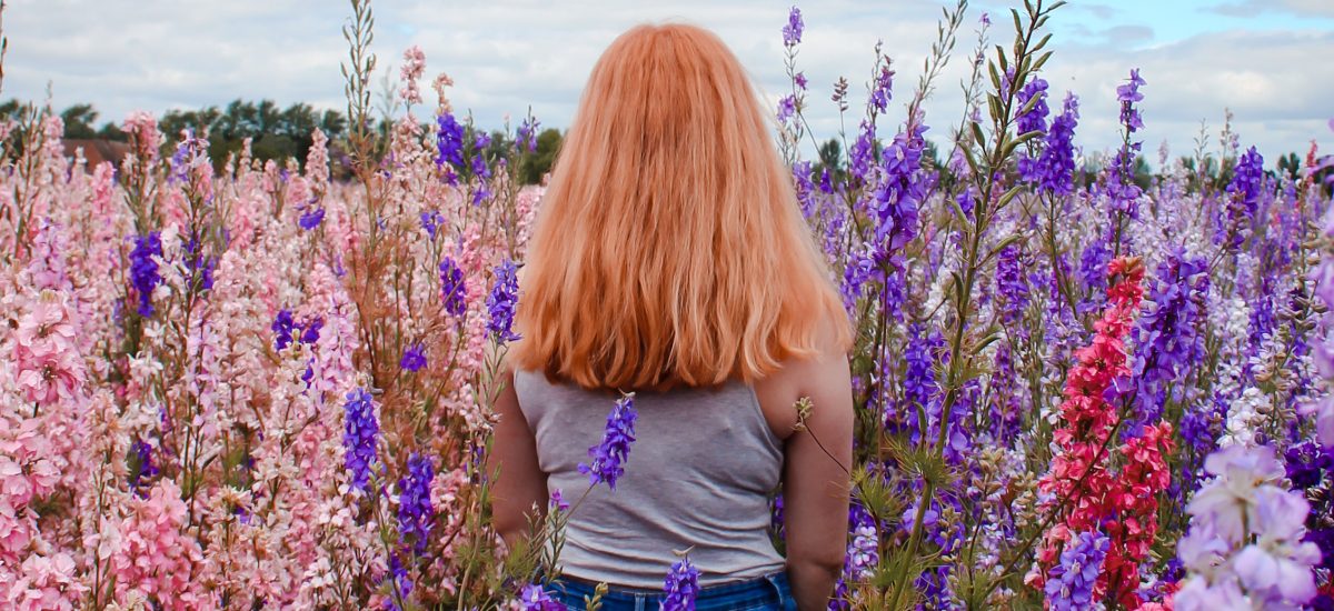 Cotswolds – The Confetti Flower Fields