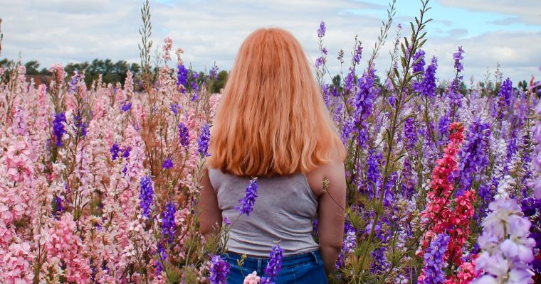 Cotswolds – The Confetti Flower Fields